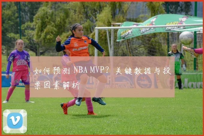 如何预测 NBA MVP?关键数据与投票因素解析